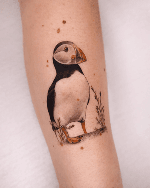 Detailed tattoo of an Atlantic puffin, capturing the intricate colors and features of this unique sea bird. By Constanza.