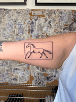 Horse in a Frame