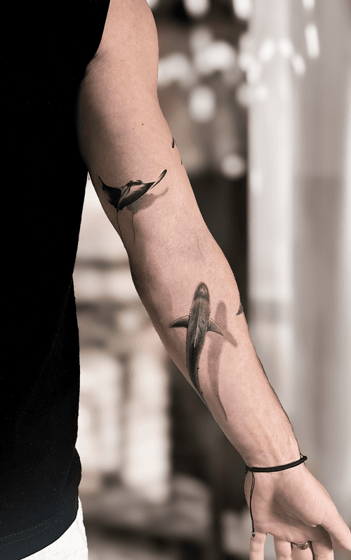 Shark and Stingray Tattoo