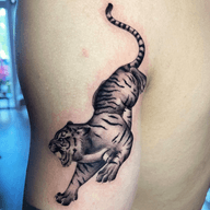 Jumping Tiger