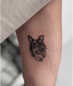 Dog with Ball Portrait