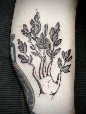 A beautiful black and gray illustrative tattoo by Amandine Canata, featuring nature elements like branches and plants on a hand, symbolizing a green thumb.