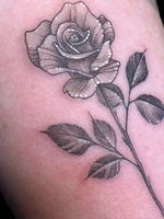 Rose Tattoo