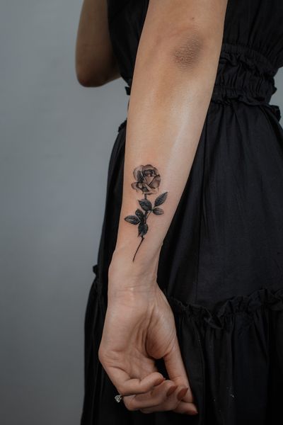 Black and grey, realistic and finelined, delicate rose 