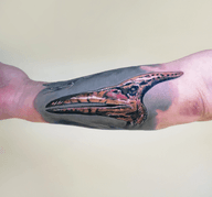 Pterosaur