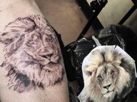 -Lion progress shot- Done at @aspiredink #lagunahills DM OR reach me at 714-585-2098 for quotes/appointments #staymotivated WWW.LEFTYROB.COM #CA #California #tattoos #tattoo #lion #liontattoo #lion tattoos #bishoprotary #purpleglide #nocturnalink #staymotivated #AspiredInk