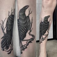 Raven on a Branch