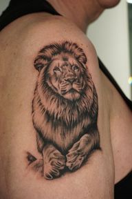 Realistic Lion Portrait