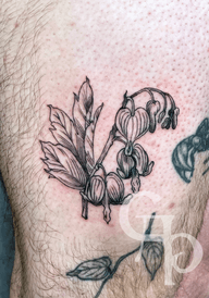 Palm-sized weeping hearts botanical tattoo, done in etching-adjacent blackwork.