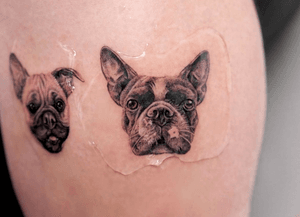 Tiny micro pet portrait. Look at that adorable face!Dog tattoo, dog portrait, micro realism, pet portrait, puppy tattoo, dog face, memories tattoo, black and gray, forearm, arm, shin, calf, leg, leg tattoo