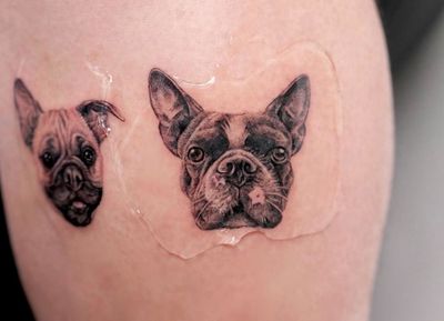 Tiny micro pet portrait. Look at that adorable face! Dog tattoo, dog portrait, micro realism, pet portrait, puppy tattoo, dog face, memories tattoo, black and gray, forearm, arm, shin, calf, leg, leg tattoo