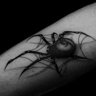 Spider on Web Tattoo