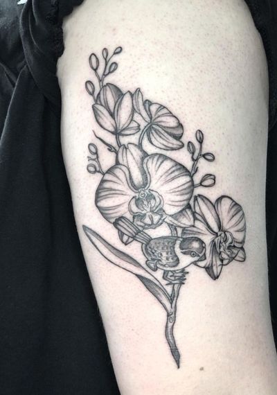 Elegant black_and_gray tattoo featuring a stunning bird and intricate orchid design. Illustrative style by talented artist Amandine Canata.