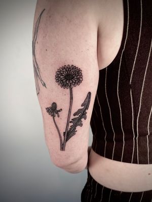 Exquisite blackwork tattoo by Robin Rossi, featuring detailed floral motifs in a woodcut engraving style.
