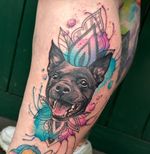 🐶 #dog #dogtattoo #dogportrait #blackandgreytattoo #colour #colourtattoo #watercolor #watercolourtattoo @bwhtattoo @bishoprotary @fusion_ink @starrtattoosupplies @butterluxe_uk #barcelona #barcelonatattoo