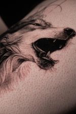 Howling Wolf Head