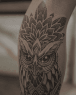Owl