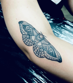 Moth Tattoo