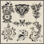 Butterfly and Floral Symmetry