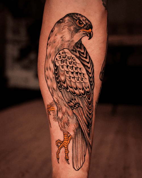 Hawk Tattoo