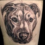 The silliest dog in the world. Proud and amazed on the chance to do a beloved on one of my fav human beings 💚💚💚 Will post some healed pics once he comes to get more ink (won’t be too long)🤣🤣🤣🤣 Thanks @ethstasie for the trust in my hands 🥰🥰🥰 . . . . . . . #pitbull #dogportrait #tattooportrait #dogtattooportrait #sketchystyletattoo #kingofheartstattoostudio #blackandgreytattoo