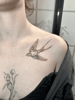 Swallow Tattoo