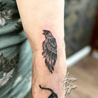 Etched Raven