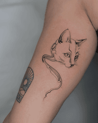 Cat Line Art