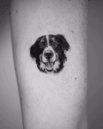 flat rate pet portraits are available on my website! haven’t done a pet portrait in a minute. let’s get back to that! . . . . #tattoo #tattoos #tattooartist #blacktattoo #blackandgreytattoo #microtattoo #dog #cat #dogtattoo #cattattoo