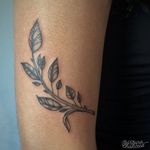 Leaf! Muito obrigada pela confiança, Mylena! #tattoo #tattoodo #ink #inked #inkedgirl #blackwork #blackworktattoo #rj #riodejaneiro #leaf #leaftattoo #fineline #finelinetattoo 