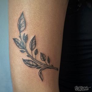 Leaf!Muito obrigada pela confiança, Mylena!#tattoo #tattoodo #ink #inked #inkedgirl #blackwork #blackworktattoo #rj #riodejaneiro #leaf #leaftattoo #fineline #finelinetattoo 