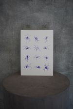 Spider Flash Sheet