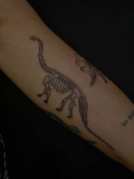 Dinosaur Skeletons