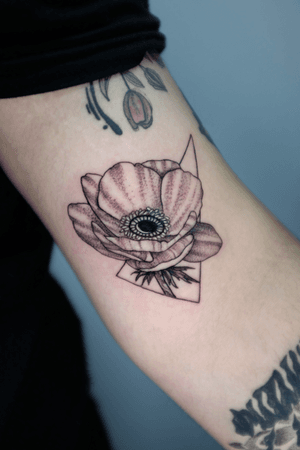 Poppy.