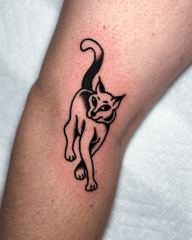 Walking Cat