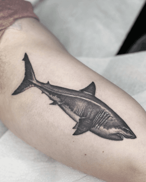 Black and grey Realism shark, inner bicep 