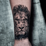Lion Head Portrait