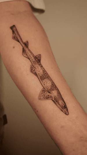 Shark tattoo on arm