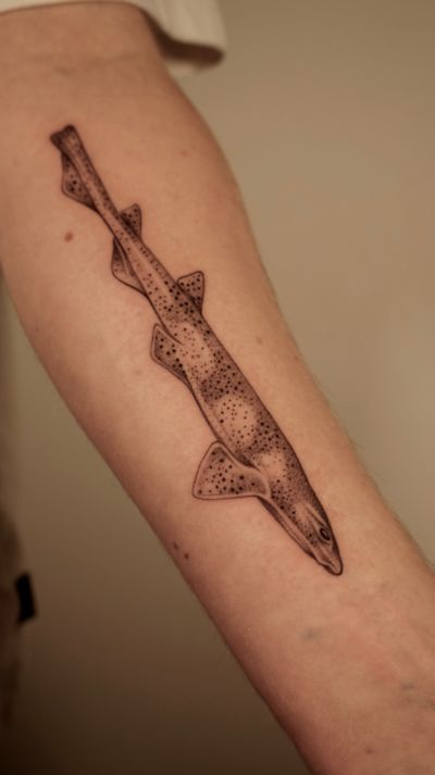 Shark tattoo on arm