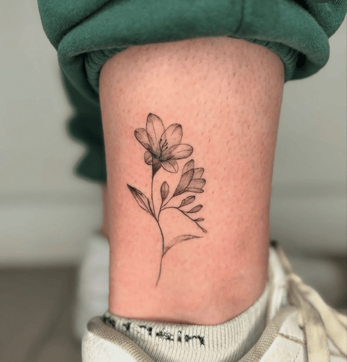 Freesia Flower Stem