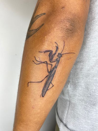 Detailed black and gray tattoo of a praying mantis, created by artist Charlie Macarthur.