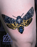 Death's Head Hawkmoth