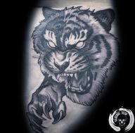 Fierce Tiger Tattoo