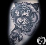 Fierce Tiger Tattoo