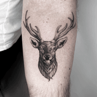 Deer Head