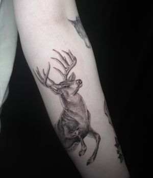 Experience the beauty of nature with this striking black and gray deer tattoo, expertly rendered by the talented artist Lauren. Perfect for nature lovers and tattoo enthusiasts alike.