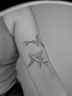 Detailed black and gray micro realism tattoo by Ruth Hall featuring a flying fish in fine line style.