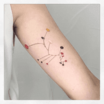 Abstract Dots and Lines