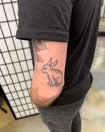 Rabbit