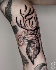 Eikþyrnir oraz Ratatoskr dla @bykczek dziękuję! @muka_studio Guest spot Szczecin 22-25.04 @sfera.ink #Ratatoskr #squirreltattoo #deertattoo #antlerstattoo #backtattoo #eikthyrnir #nordictattoo #graphictattoo #dotwork #dotworktattoo #krakówtattoo #polandtattoo #tatuazkrakow #tatuazwarszawa #tatuazkatowice #katowicetattoo #warsawtattoo #dybukink #tatuaższczecin #szczecintattoo